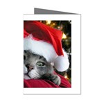 Chat_02_1024x768 Mini Greeting Cards (Pkg of 8)