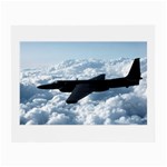 U-2 Dragon Lady Glasses Cloth