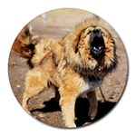 Tibetan Mastiff Dog Round Mousepad