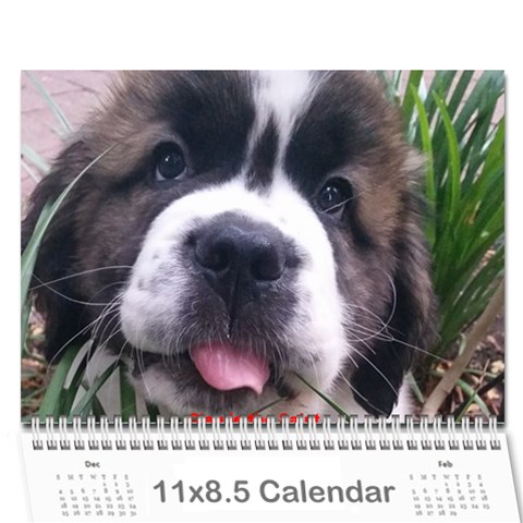Claude 18 month calendar 2018 Cover