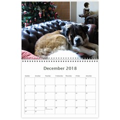 Claude 18 month calendar 2018 Dec 2018