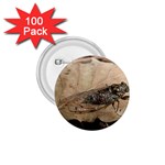 Harvest Fly 1.75  Button (100 pack) 