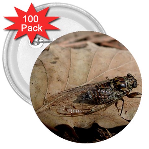 Harvest Fly 3  Button (100 pack) from ArtsNow.com Front