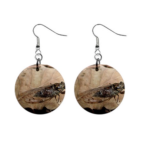 Harvest Fly 1  Button Earrings from ArtsNow.com Front