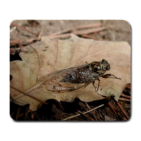 Harvest Fly Large Mousepad from ArtsNow.com Front