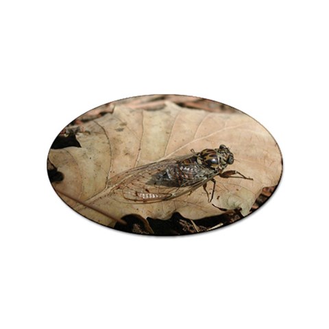 Harvest Fly Sticker (Oval) from ArtsNow.com Front