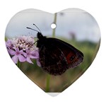 Erebia Pronoe Rila (Bulgaria Butterfly) Ornament (Heart)