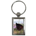 Erebia Pronoe Rila (Bulgaria Butterfly) Key Chain (Rectangle)