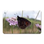 Erebia Pronoe Rila (Bulgaria Butterfly) Magnet (Rectangular)