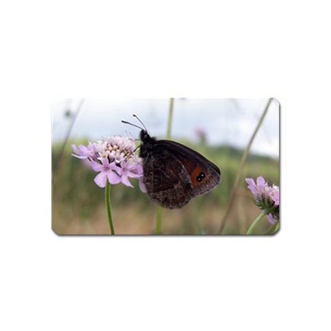 Erebia Pronoe Rila (Bulgaria Butterfly) Magnet (Name Card) from ArtsNow.com Front