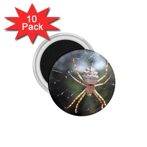 White Spider 1.75  Magnet (10 pack)  from ArtsNow.com Front