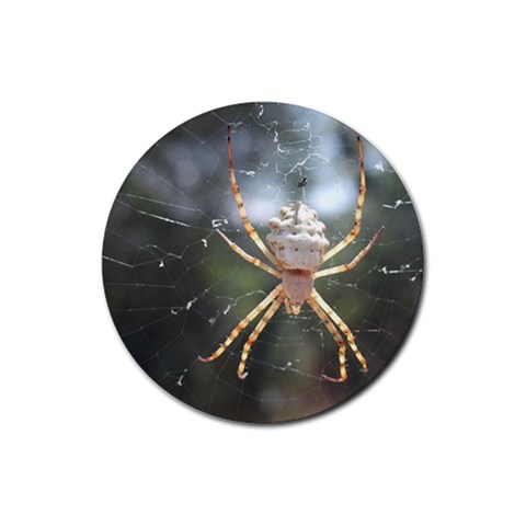 White Spider Rubber Coaster (Round) from ArtsNow.com Front