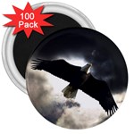Eagle Storm  3  Magnet (100 pack)
