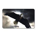 Eagle Storm  Magnet (Rectangular)