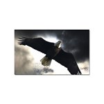 Eagle Storm  Sticker Rectangular (10 pack)