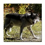 Wolf Teething Tile Coaster