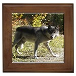 Wolf Teething Framed Tile