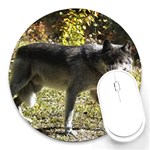 Wolf Teething Round Mousepad