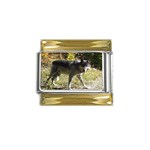 Wolf Teething Gold Trim Italian Charm (9mm)