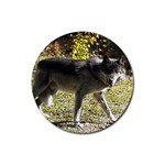 Wolf Teething Rubber Round Coaster (4 pack)