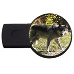 Wolf Teething USB Flash Drive Round (2 GB)