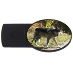 Wolf Teething USB Flash Drive Oval (2 GB)