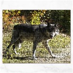 Wolf Teething Jigsaw Puzzle (Rectangular)