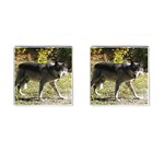 Wolf Teething Cufflinks (Square)