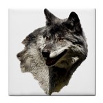 Wolf Head  Tile Coaster