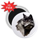 Wolf Head  2.25  Magnet (10 pack)