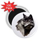 Wolf Head  2.25  Magnet (100 pack) 