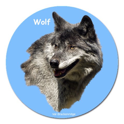 Wolf Head  Magnet 5  (Round) from ArtsNow.com Front