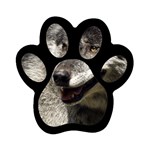 Wolf Head  Magnet (Paw Print)