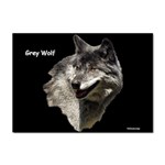 Wolf Head  Sticker A4 (10 pack)