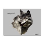 Wolf Head  Sticker A4 (100 pack)