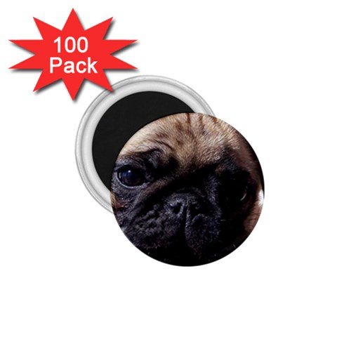 PUG 1.75  Magnet (100 pack)  from ArtsNow.com Front