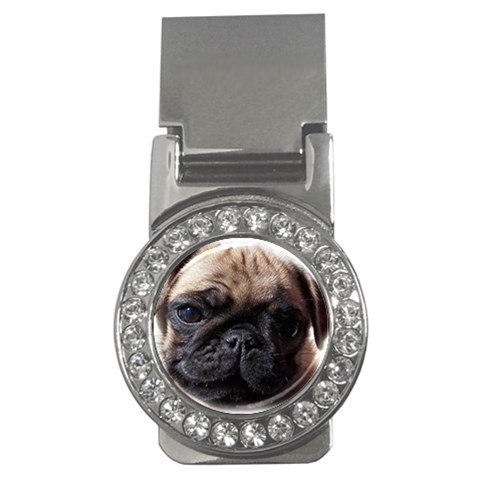 PUG Money Clip (CZ) from ArtsNow.com Front