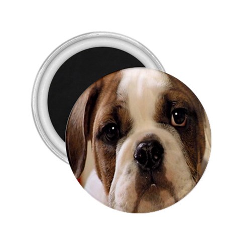 American Bulldog Puppy 2.25  Magnet from ArtsNow.com Front