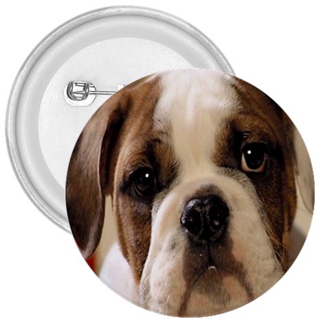 American Bulldog Puppy 3  Button from ArtsNow.com Front