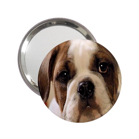 American Bulldog Puppy 2.25  Handbag Mirror from ArtsNow.com Front