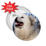 American Eskimo Dog 2.25  Button (100 pack)