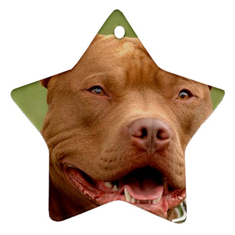 American Pit Bull Terrier Ornament (Star) from ArtsNow.com Front