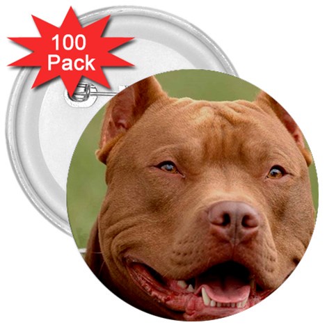 American Pit Bull Terrier 3  Button (100 pack) from ArtsNow.com Front