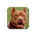 American Pit Bull Terrier Rubber Coaster (Square)