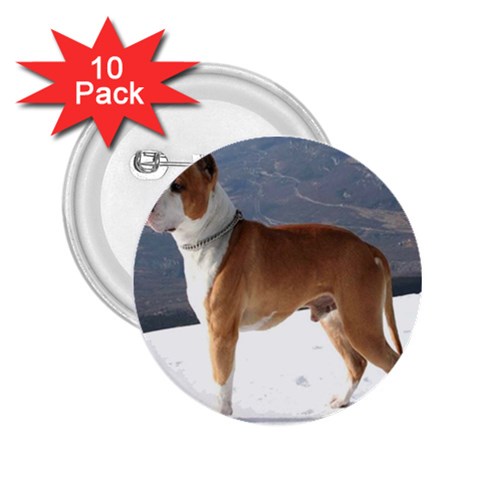 American Staffordshire 2.25  Button (10 pack) from ArtsNow.com Front