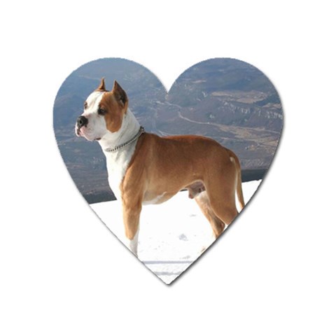 American Staffordshire Magnet (Heart) from ArtsNow.com Front