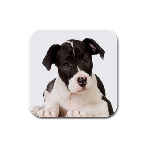 American Staffordshire Puppy Rubber Square Coaster (4 pack) from ArtsNow.com Front
