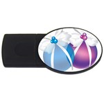 sxmas06 USB Flash Drive Oval (2 GB)