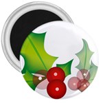 sxmas10 3  Magnet