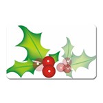 sxmas10 Magnet (Rectangular)